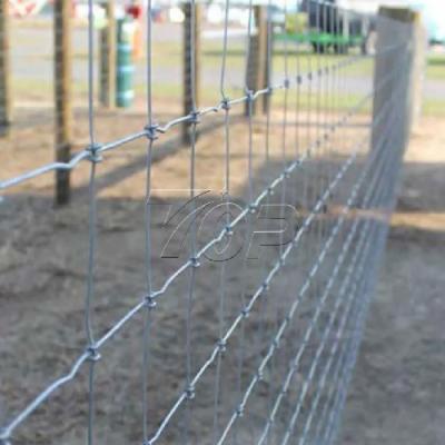 deer fence