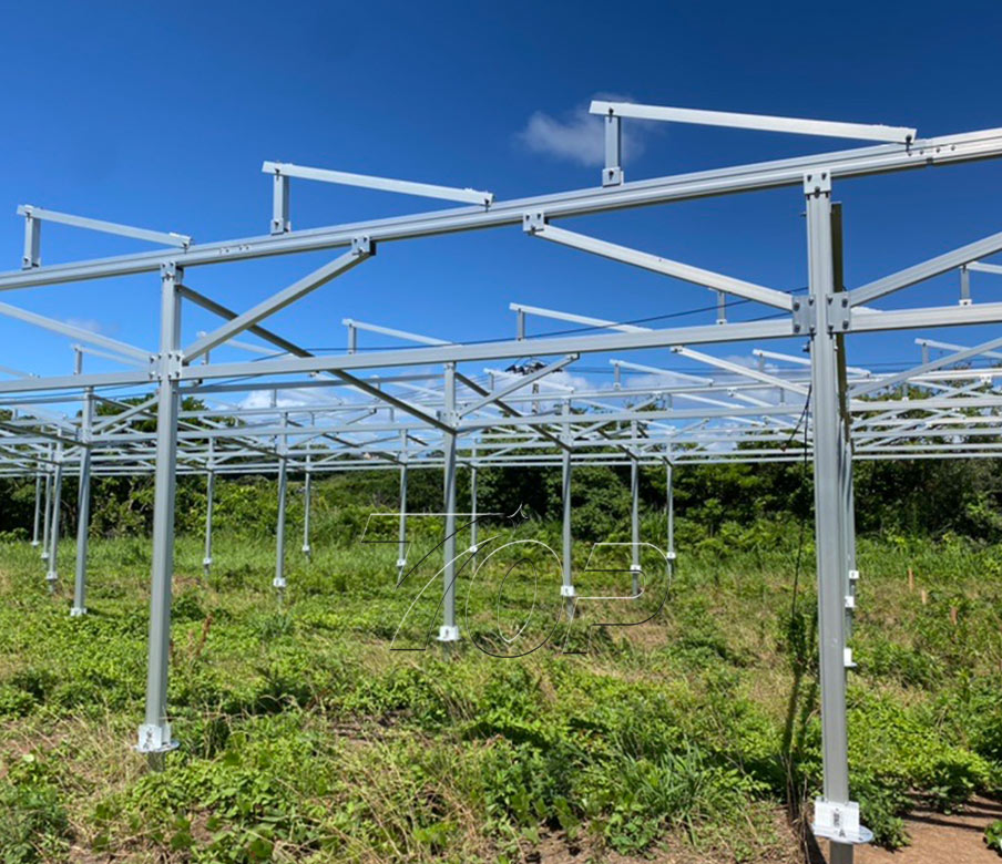 TopEnergy ha risolto la struttura dei pannelli solari per oltre 20 aziende agricole in Giappone